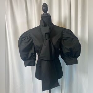 Women Puffy Sleeves Tie Neck Button Down down blouse